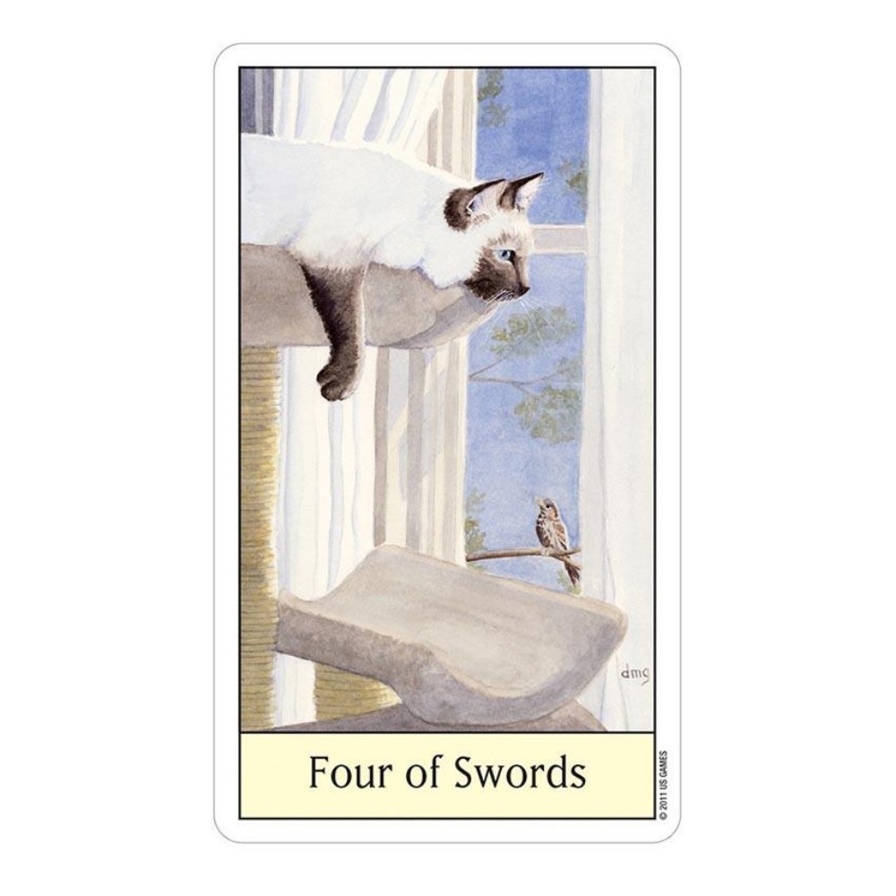 ไพ่แมวตา12x7ซม - Tarot Deck With Guidebook บทวิจารณ์และราคา